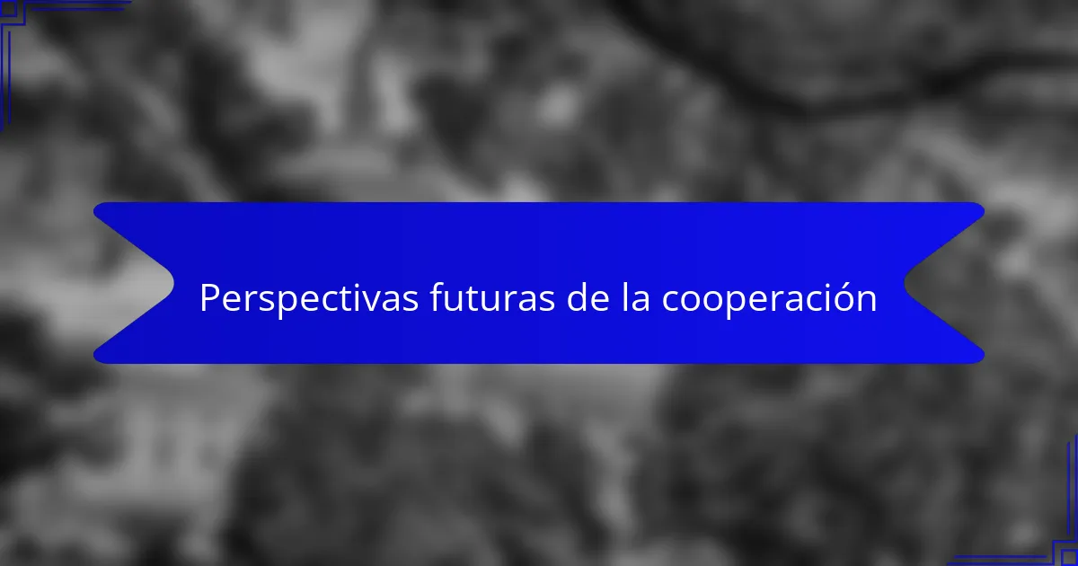 Perspectivas futuras de la cooperación